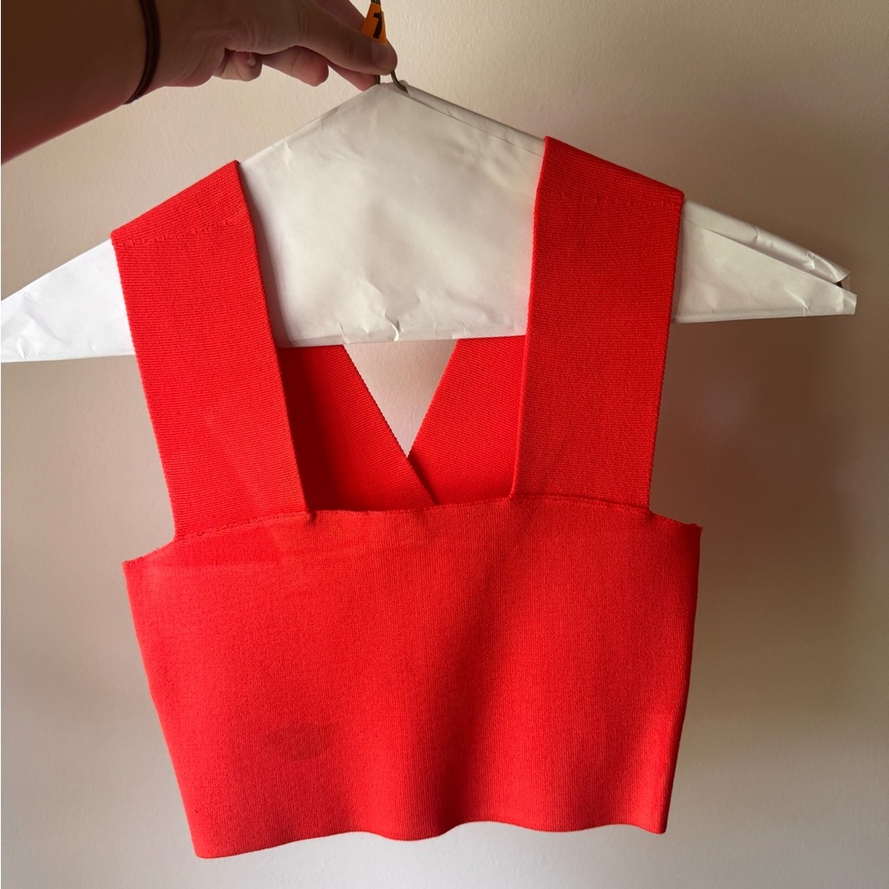 ALC Crop Top